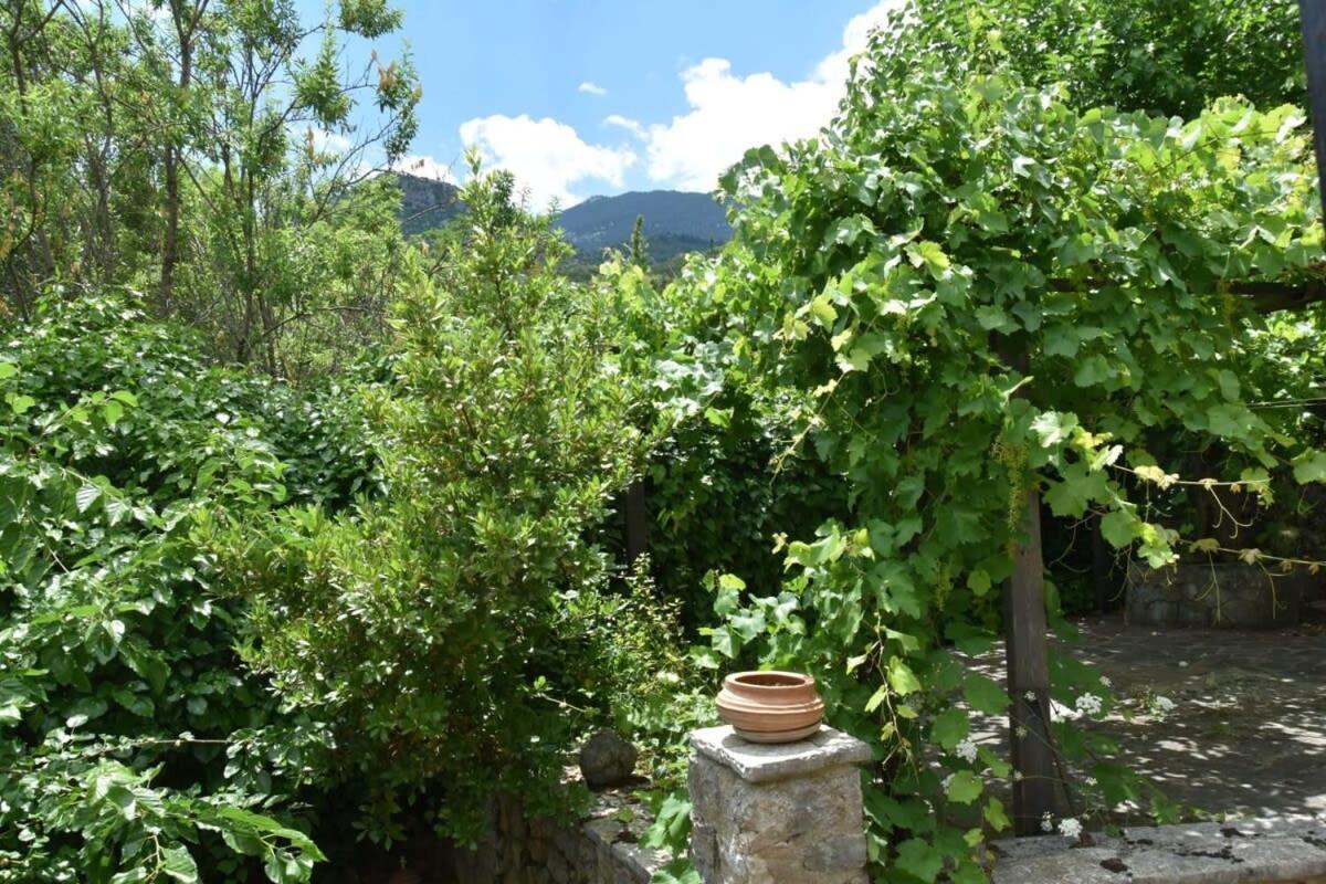 Mariolata Vintage Stone Villa - 4 Season Escape Екстер'єр фото